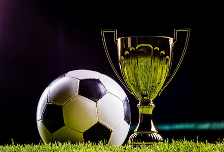 后天学习 后天学习