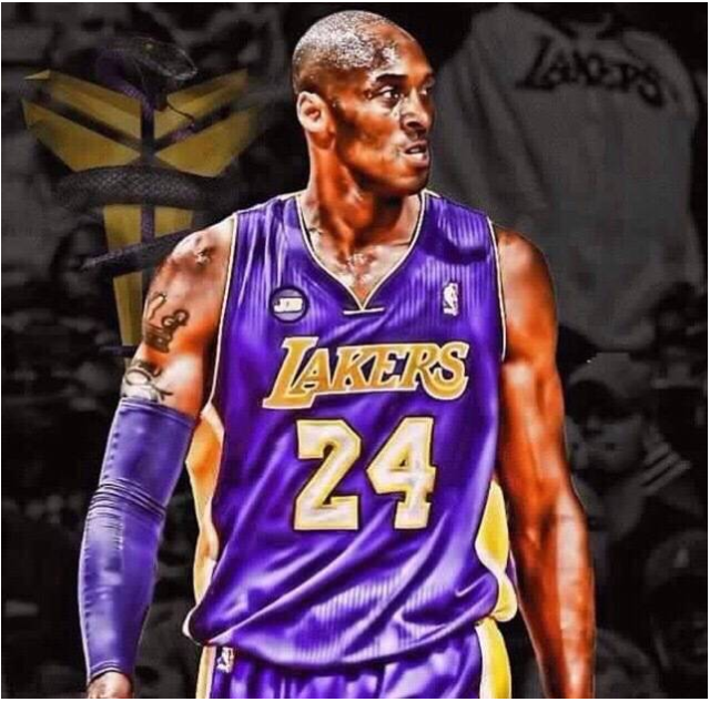 具观赏性和 具观赏性和